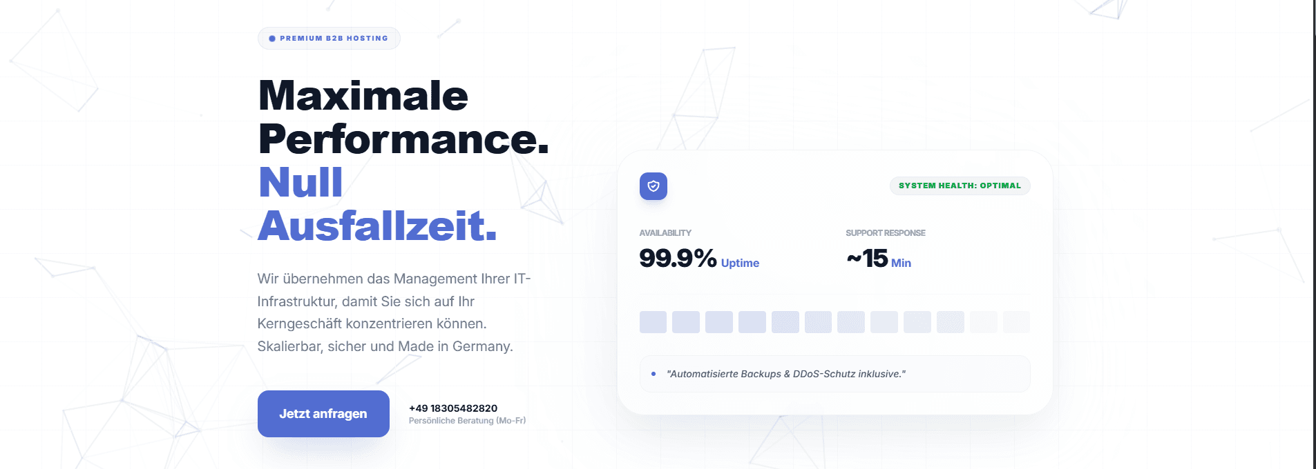 B2B Hosting Website